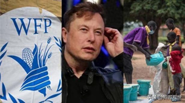 Musk went to the Gaza refugee camp, his expression gradually solemn and angry, the Jews were too cruel!