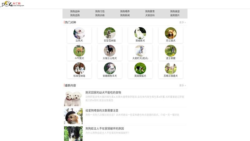Pet dog - China Famous Dog Network - World famous dog, dog, famous dog, Tibetan mastiff heaven and earth, husky, chow, golden hair, German shepherd dog, Schnauzer, Dalmatian dog, Pomeranian