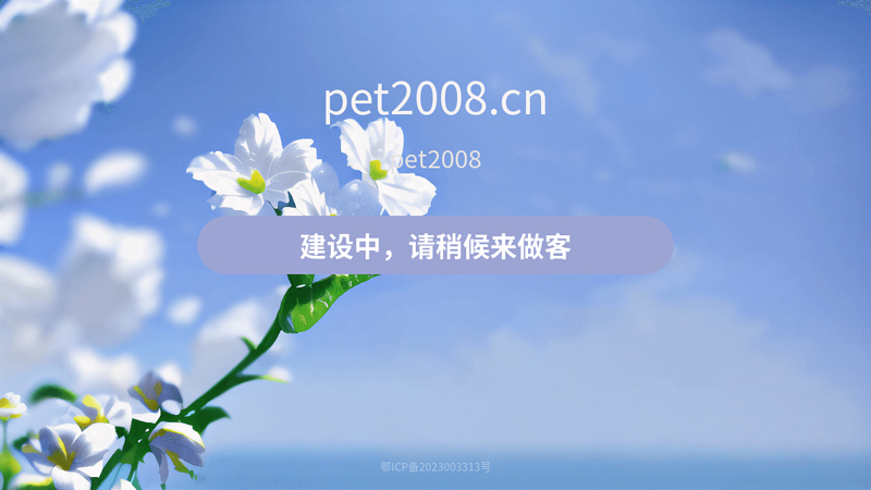 Pingping Home Literature, Agency, Search, Professional, Scientific Research, Academic, Mutual Aid, SD, ezproxy, VPN thumbnail
